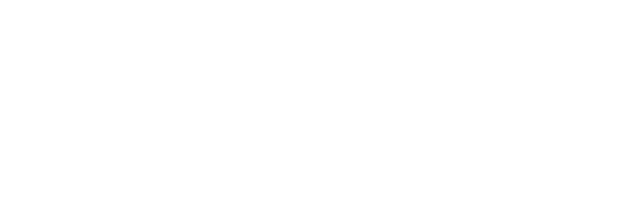 Christmas Experience